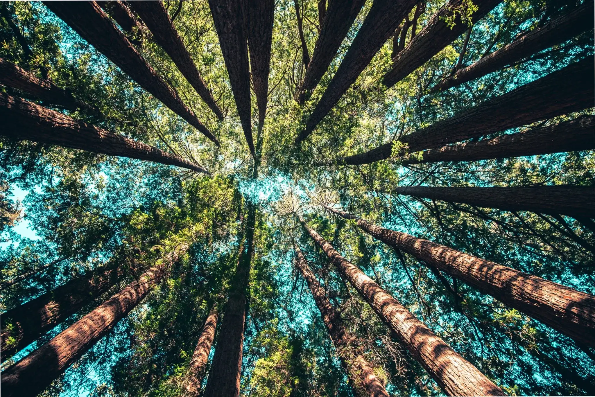 Móveis planejados e sustentabilidade: como fazer escolhas mais conscientes